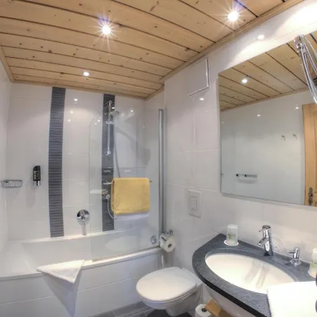 Gruener Baum Hotel 3*