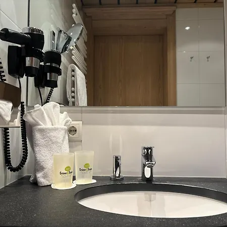 グリューナー バウム ホテル ヴュルツブルク