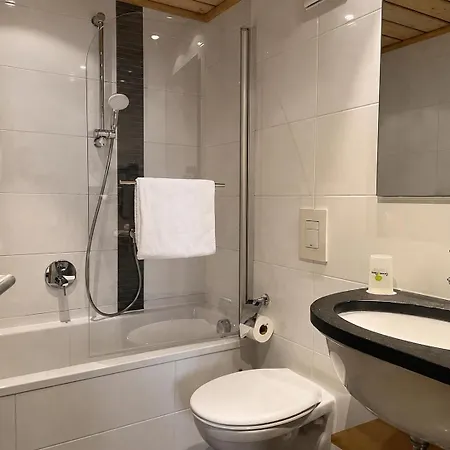 Grüner Baum Hotel 3*