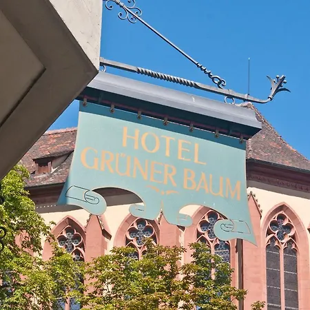 Gruener Baum Wurzburg