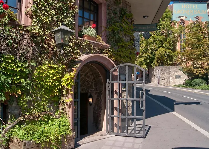 グリューナー バウム 3*